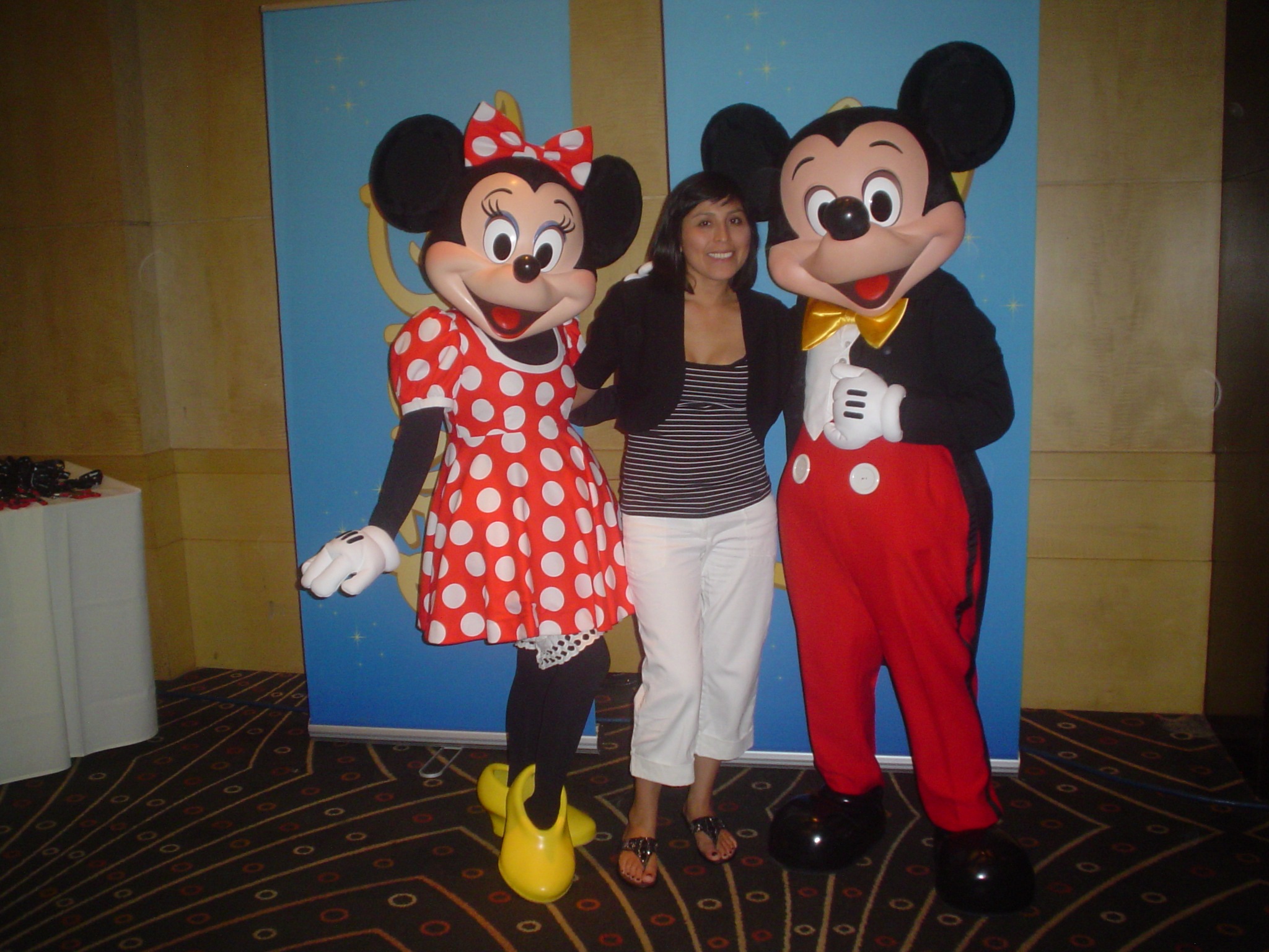 disney dvd gratis