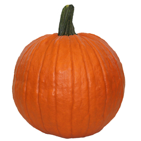 Pumpkin-calabaza