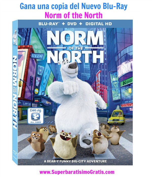 NORM OF THE NORTH